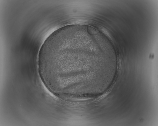 X0000113241087200909241541