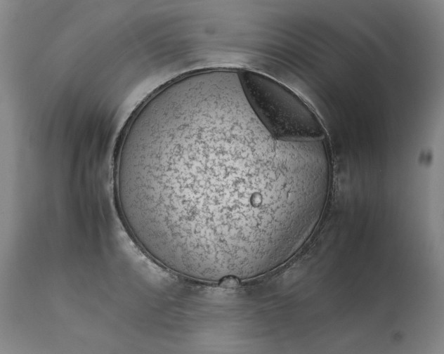 X0000113241088200909241541