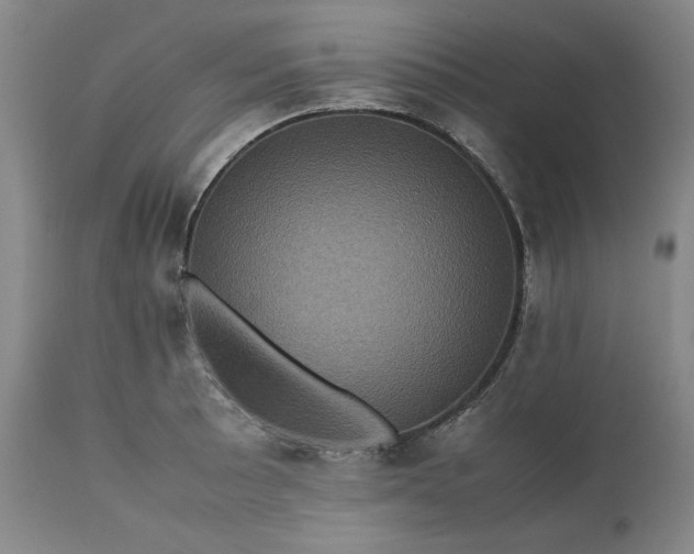 X0000113241089200909241541