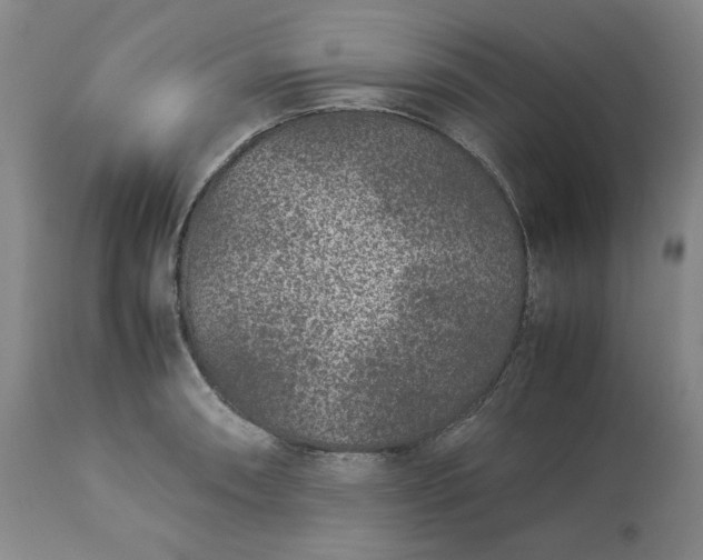 X0000113241090200909241541