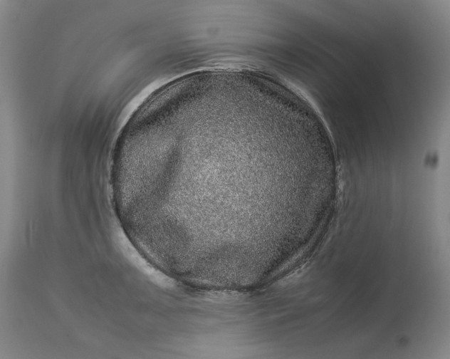 X0000113241091200909241541