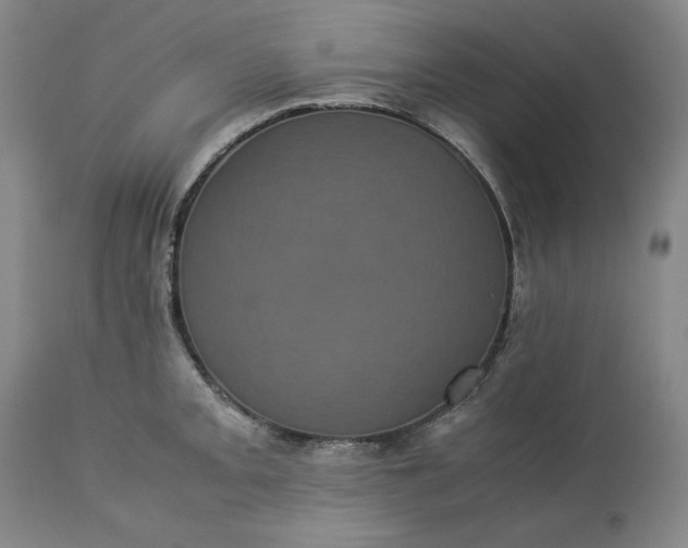 X0000113241093200909241541