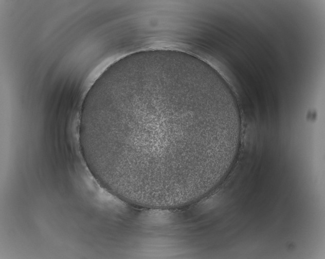 X0000113241094200909241541