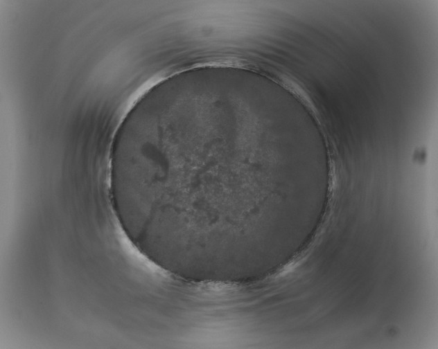 X0000113241095200909241541