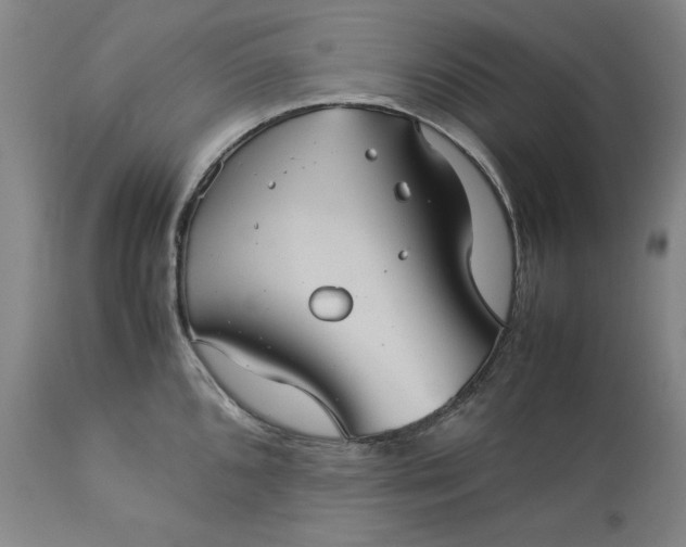 X0000113241096200909241541