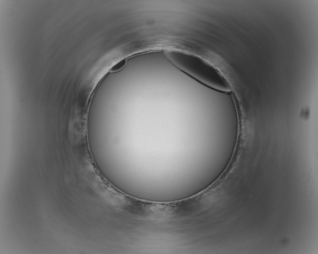 X0000113241097200909241541