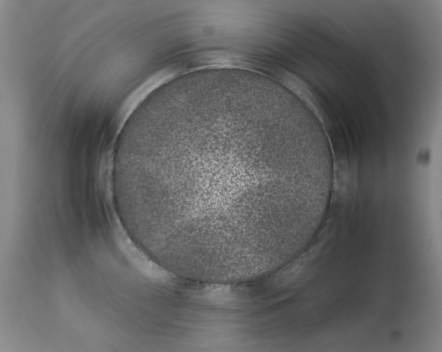 X0000113241098200909241541