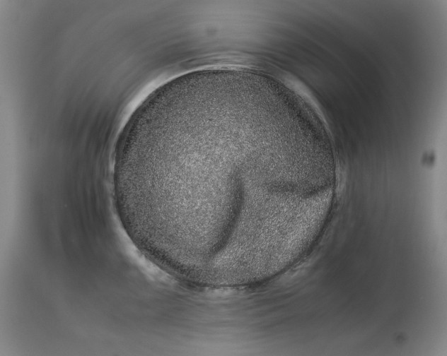 X0000113241099200909241540