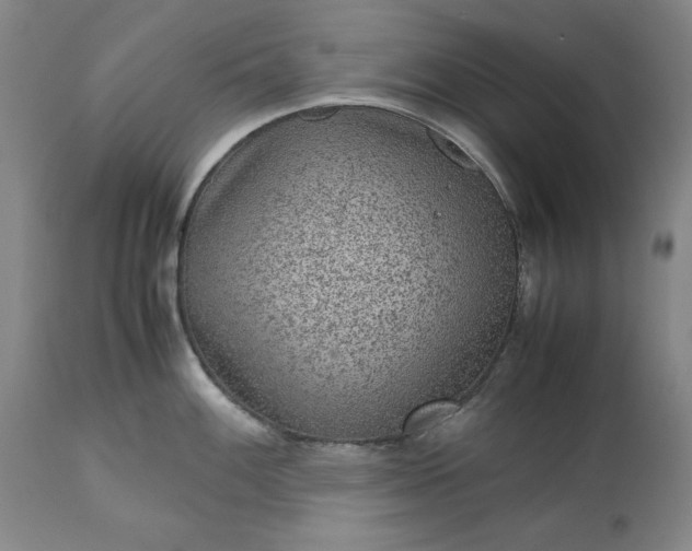 X0000113241100200909241540