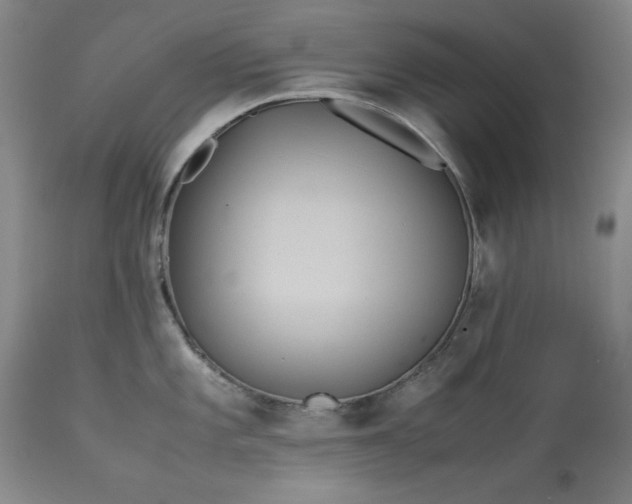 X0000113241101200909241540