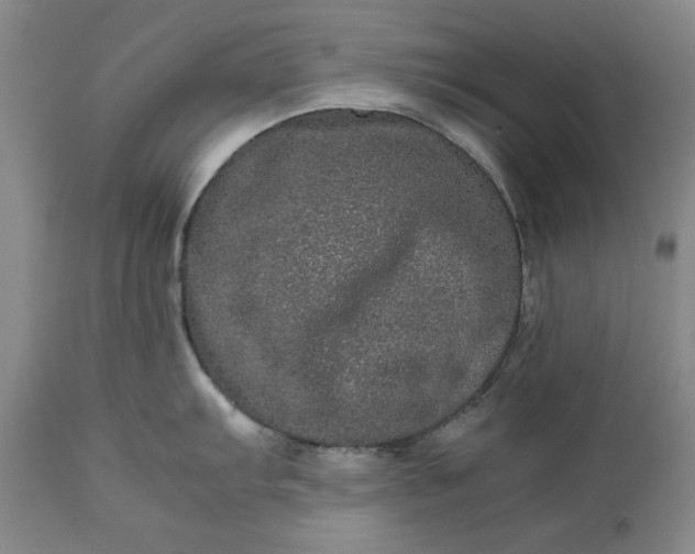 X0000113241103200909241540