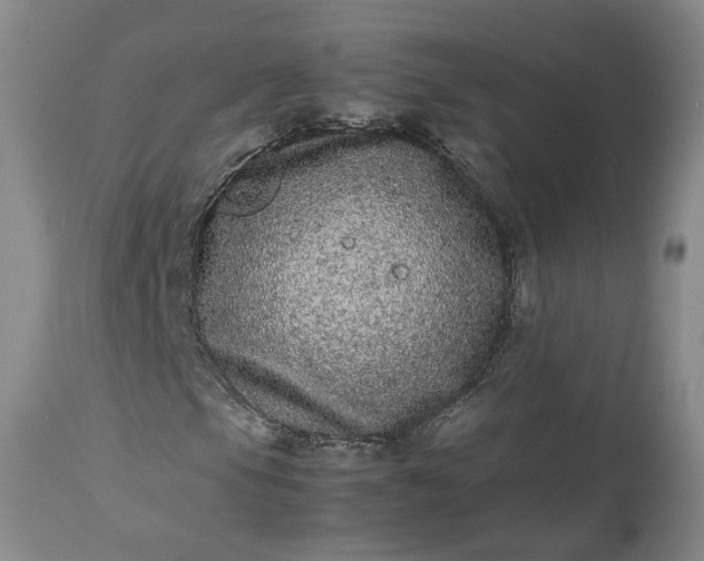 X0000113241105200909241540