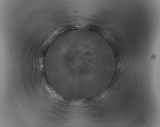 X0000113241106200909241540