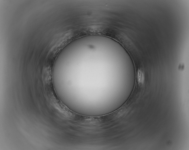 X0000113241107200909241540