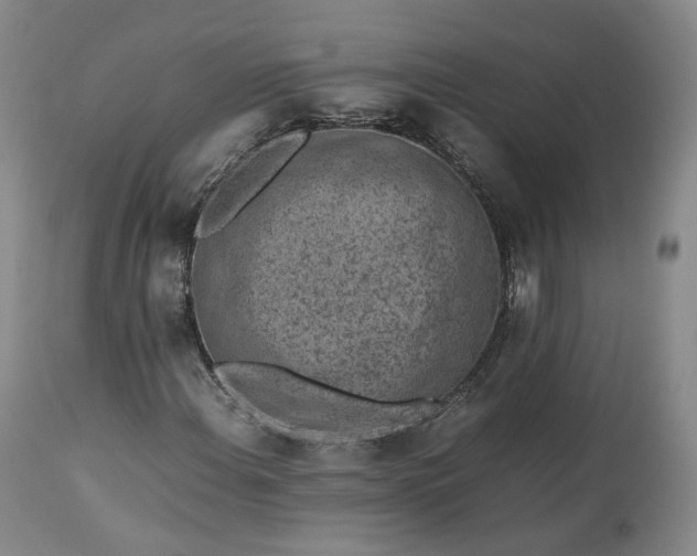 X0000113241108200909241540