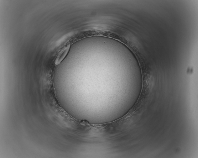 X0000113241110200909241540