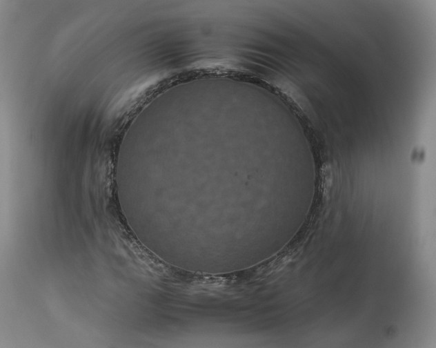 X0000113241111200909241540