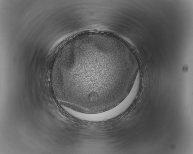 X0000113241112200909241540