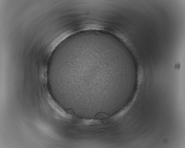 X0000113241113200909241540