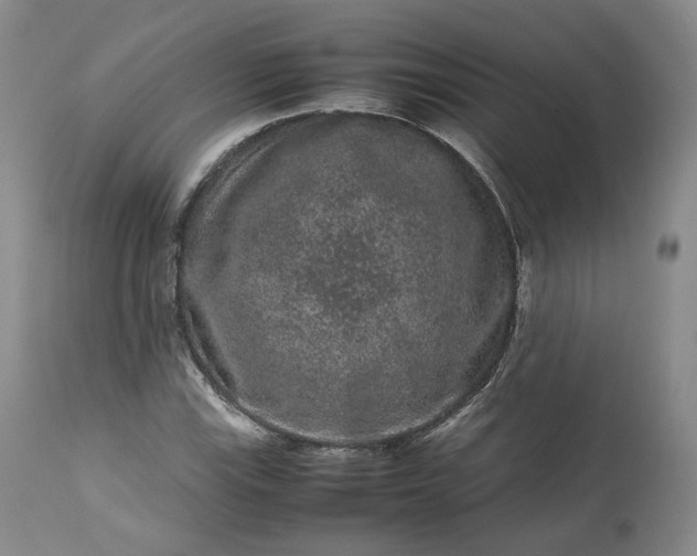 X0000113241115200909241540