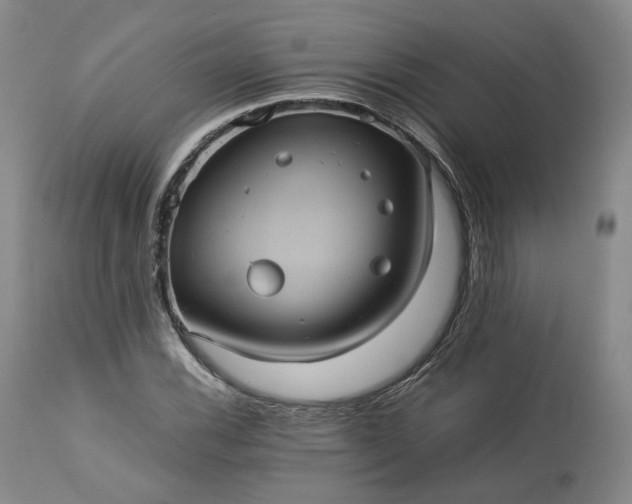 X0000113241116200909241540