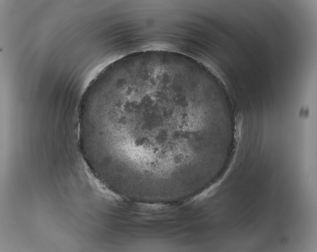 X0000113241117200909241540