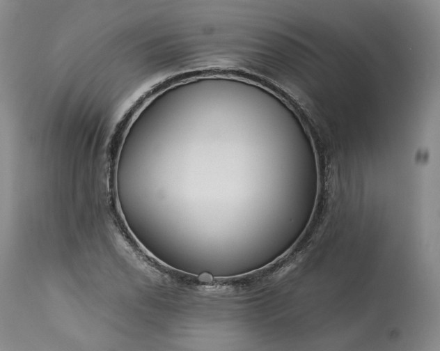 X0000113241118200909241540