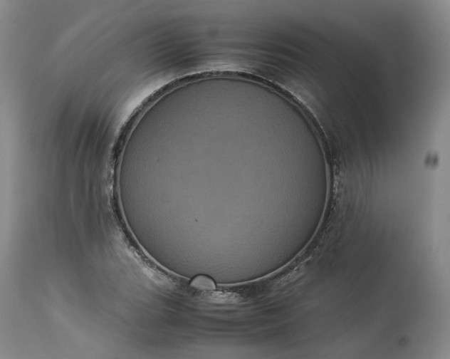 X0000113241119200909241540