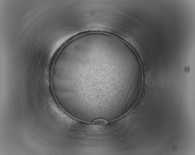 X0000113241120200909241540