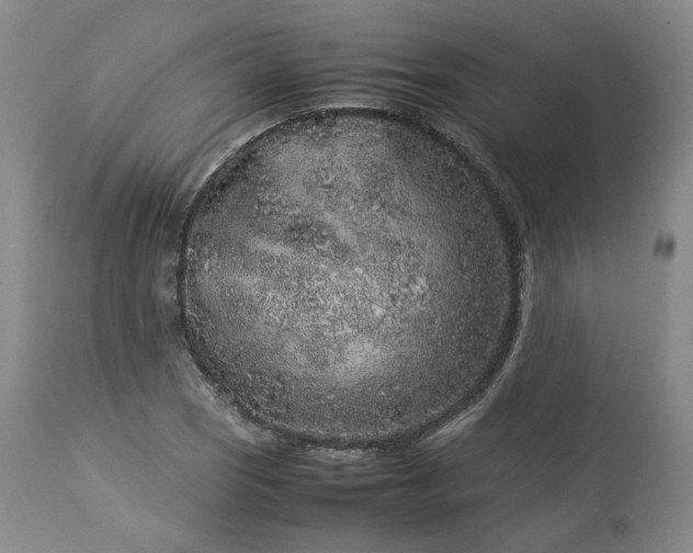 X0000113241121200909241540