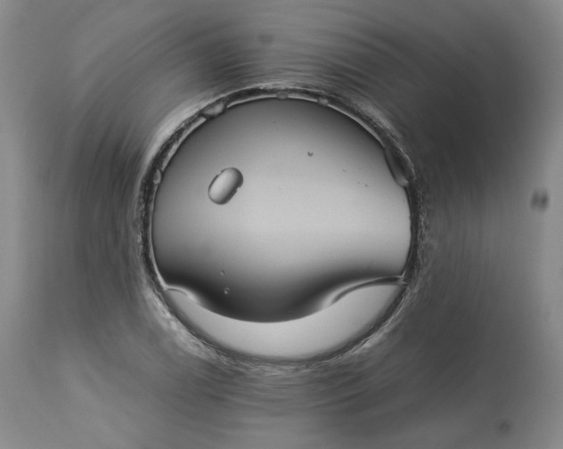 X0000113241122200909241540