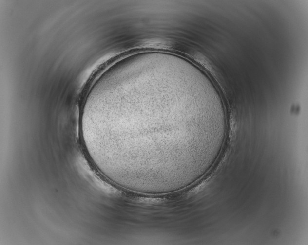 X0000113241123200909241540