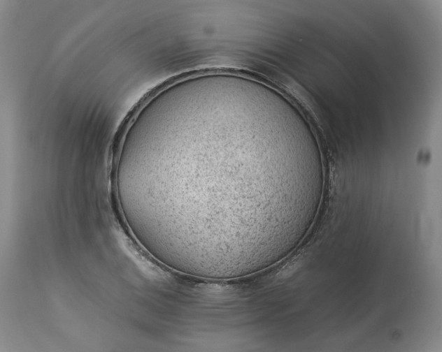 X0000113241124200909241540