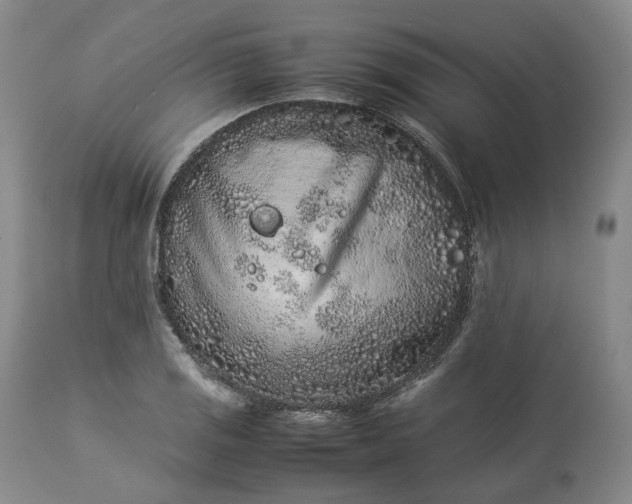 X0000113241125200909241540