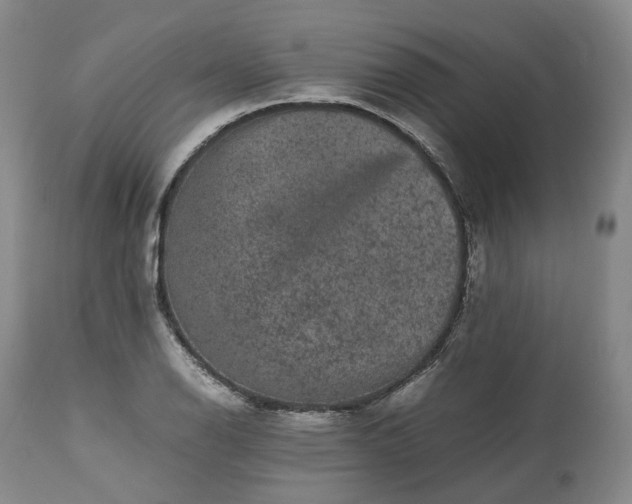 X0000113241126200909241540