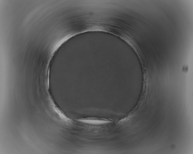 X0000113241127200909241540