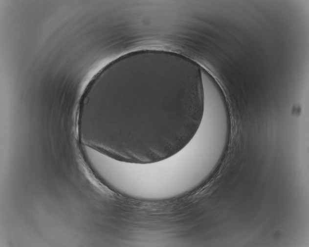 X0000113241128200909241540