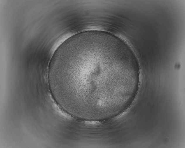 X0000113241129200909241540