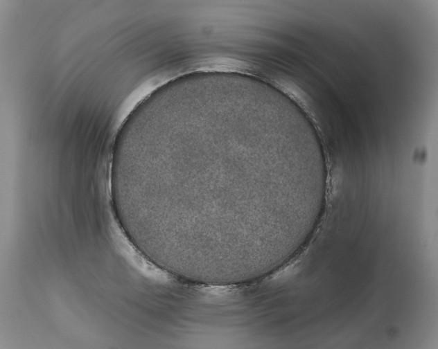 X0000113241130200909241540