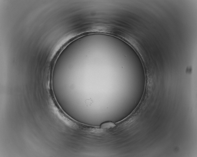 X0000113241131200909241540