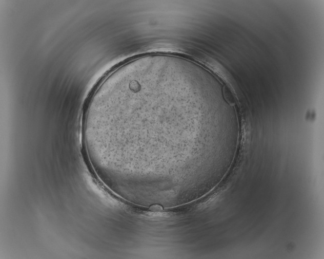 X0000113241132200909241540