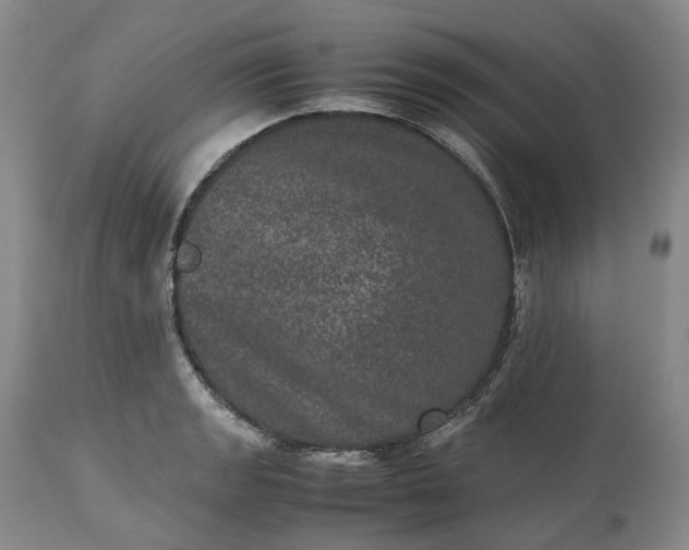 X0000113241133200909241540