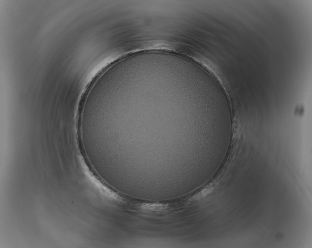 X0000113241135200909241540