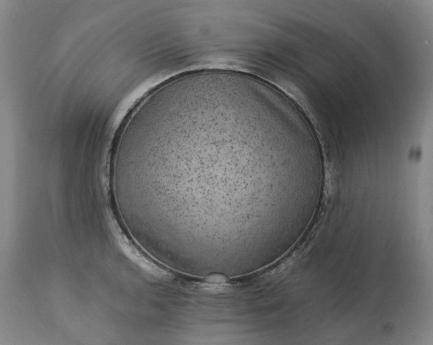 X0000113241136200909241540