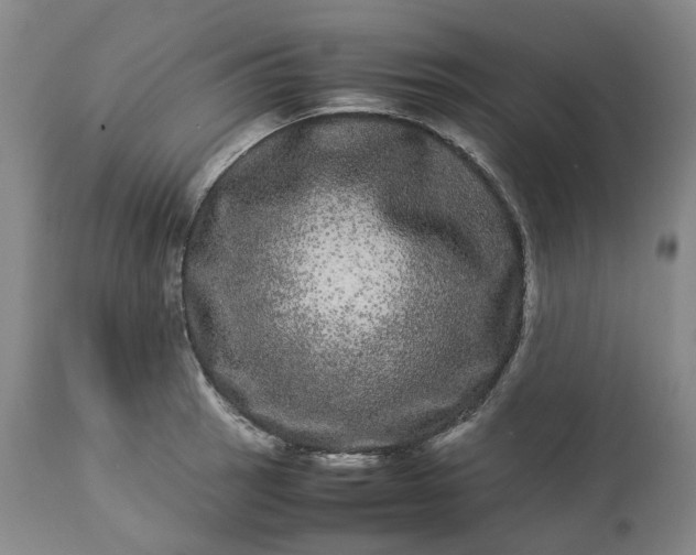 X0000113241137200909241540