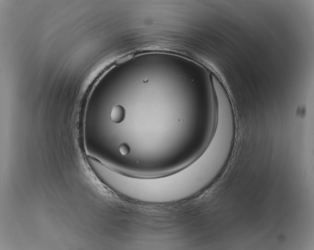 X0000113241138200909241540