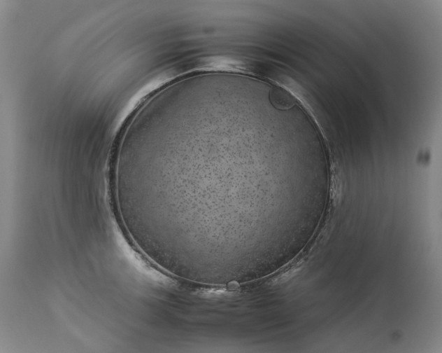 X0000113241139200909241540