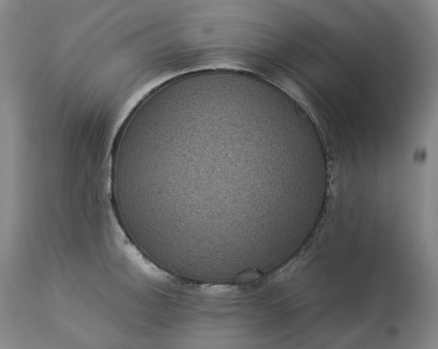 X0000113241140200909241540