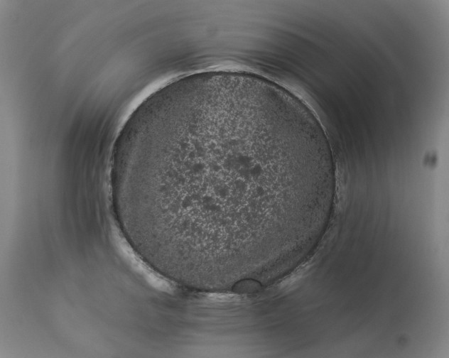 X0000113241142200909241540