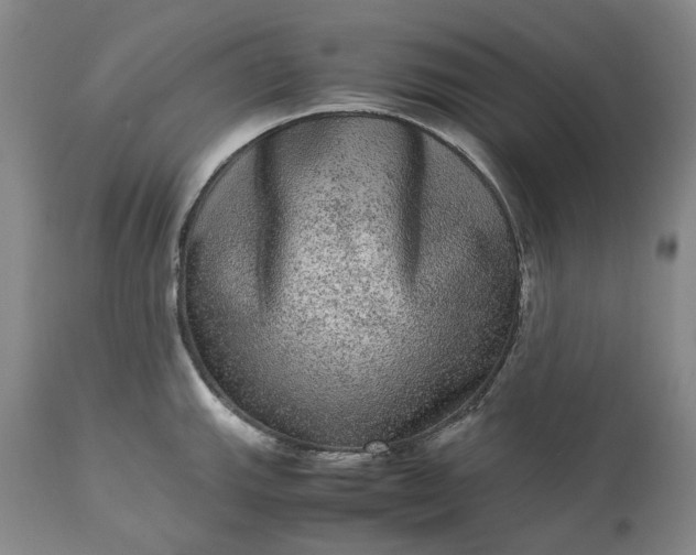 X0000113241143200909241540